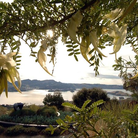 Larnach Lodge & Stable Stay Ντούνεντιν Εξωτερικό φωτογραφία